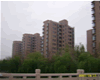 S��u161 